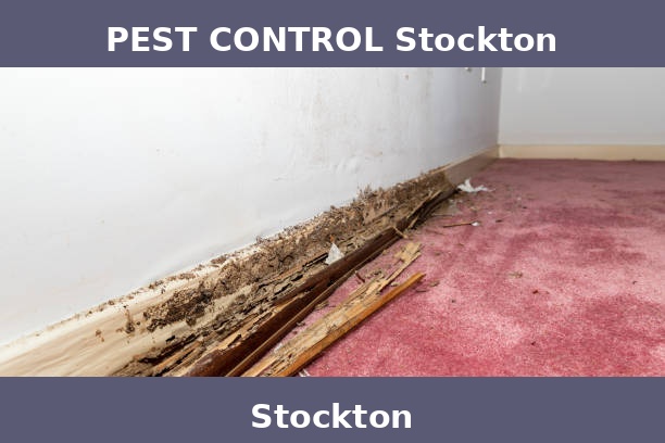 PEST CONTROL Stockton